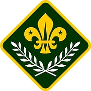Chief Scout's Award Badge